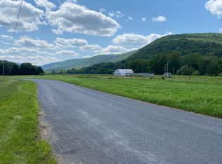135 Airport Rd, Downsville, NY 13755