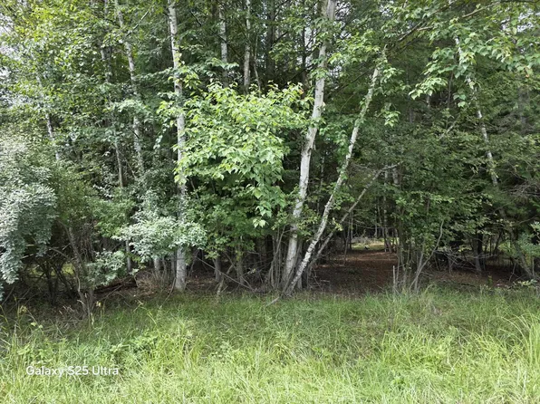 LOT 41 Sandbridge Ct, Gladwin, MI 48624