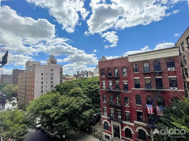 171 E 101st St #4 — Photo 9
