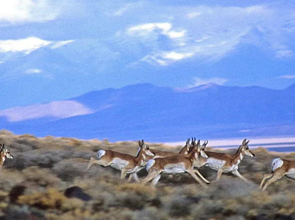 002-131-11 Pioneer Dr, Lovelock, NV 89419