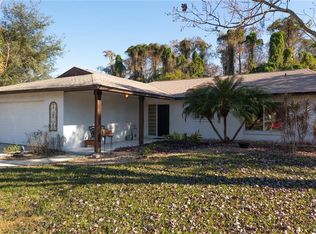 10553 Larissa St, Orlando, FL 32821