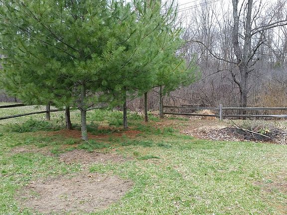 looking towards backyard
