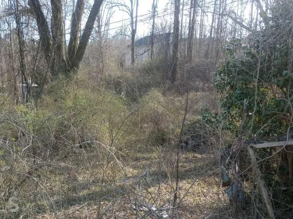 1485 Wash Rider Rd, Dahlonega, GA 30533