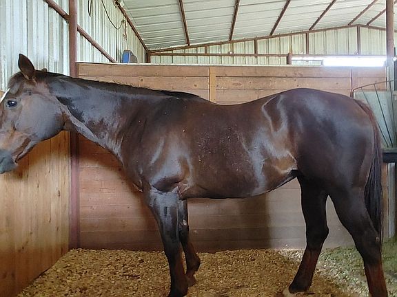 5 inside stalls room for 2 more