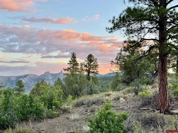 1280 County Road 917, Pagosa Springs, CO 81147