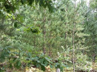 336 E Ten Mile Rd, Irons, MI 49644