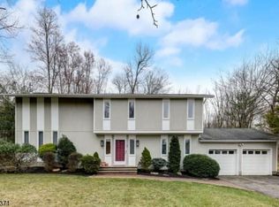 6 Old Chimney Rd, Randolph, NJ 07869