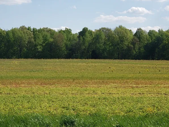 0 N Pitt Rd Lot 9, Springfield, TN 37172