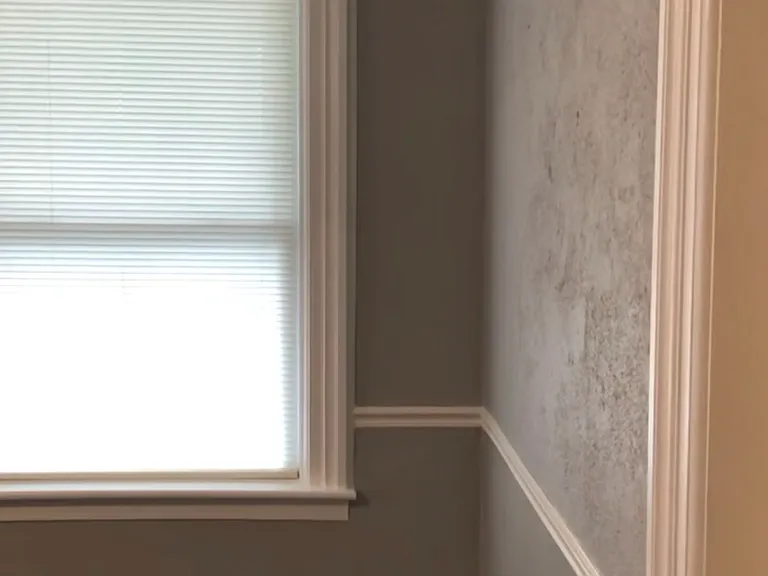 6452 Olean Rd #1 — Photo 2