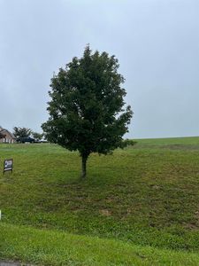 2140 Peakland Way, Christiansburg, VA, 24073