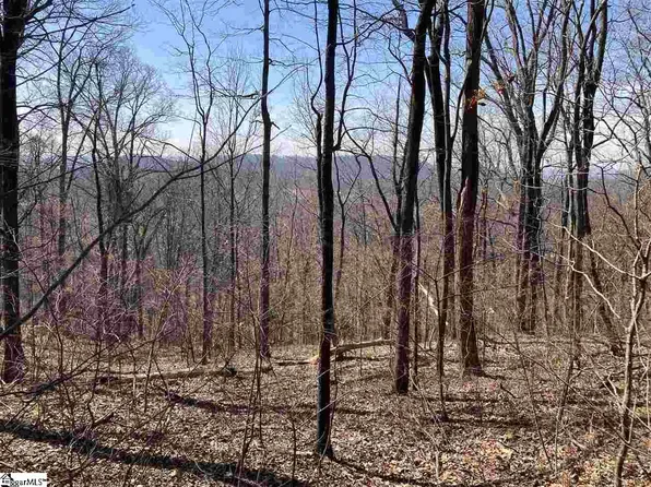 Outcrop Trl Lot 170, Landrum, SC 29356