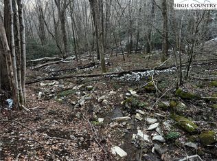 Tbd Devils Lake Dr, Seven Devils, NC 28604