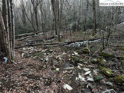 TBD Devils Lake Drive, Seven Devils, NC, 28604