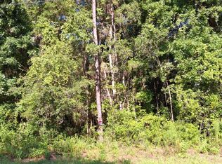 13285 Canada Goose Rd, Weeki Wachee, FL 34614