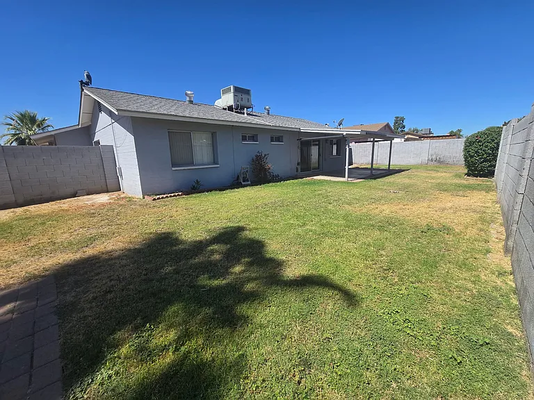 LARGE BACKYARD