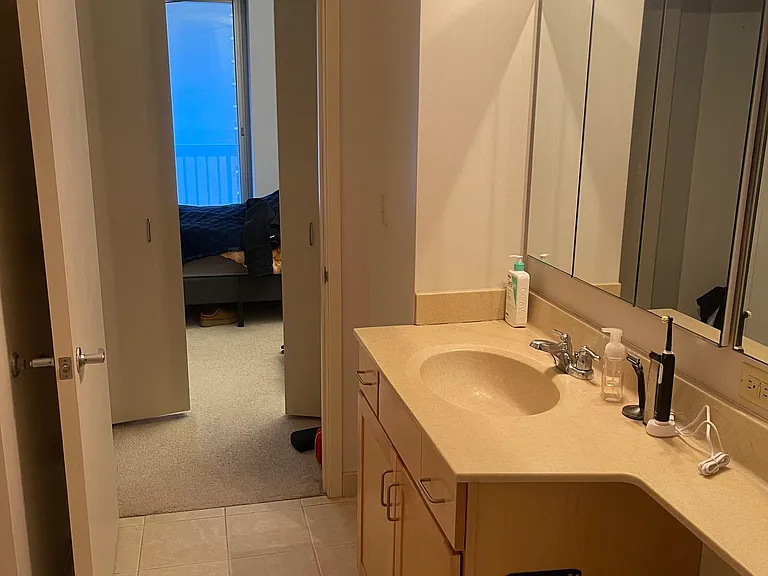 222 N Columbus Dr #2907 — Photo 3