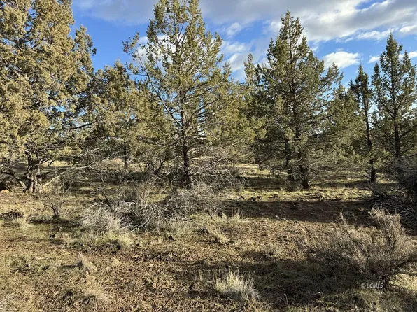 Canvasback, Bonanza, OR 97623