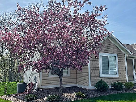 2nd image of 10329 Mulberry Dr