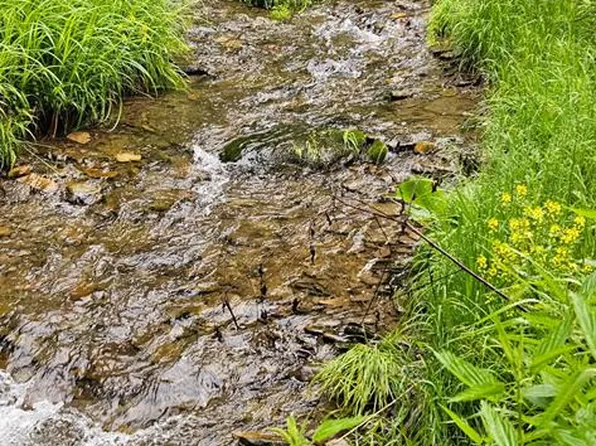 0 Portage Rd, Austin, PA 16720