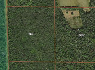 Wikaryasz Rd, Posen, MI 49776