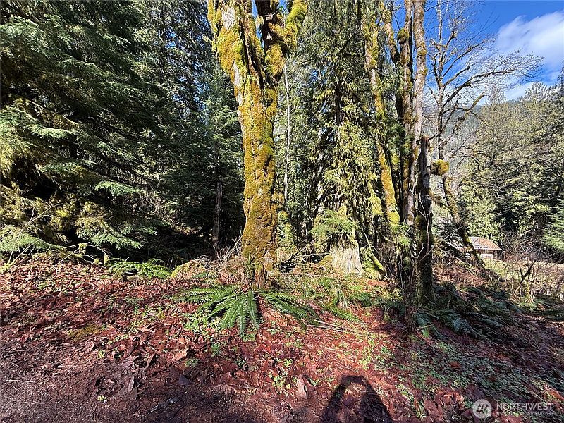 5th image of 0 High Ridge Drive