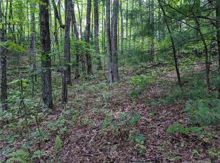 1725 Nancy Mountain Rd, Rosman, NC 28772