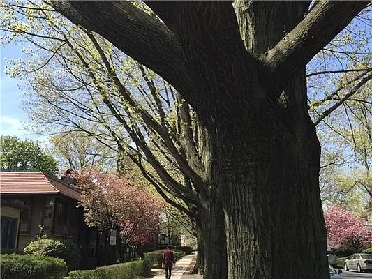 Rented by 18 REALTY | media 21