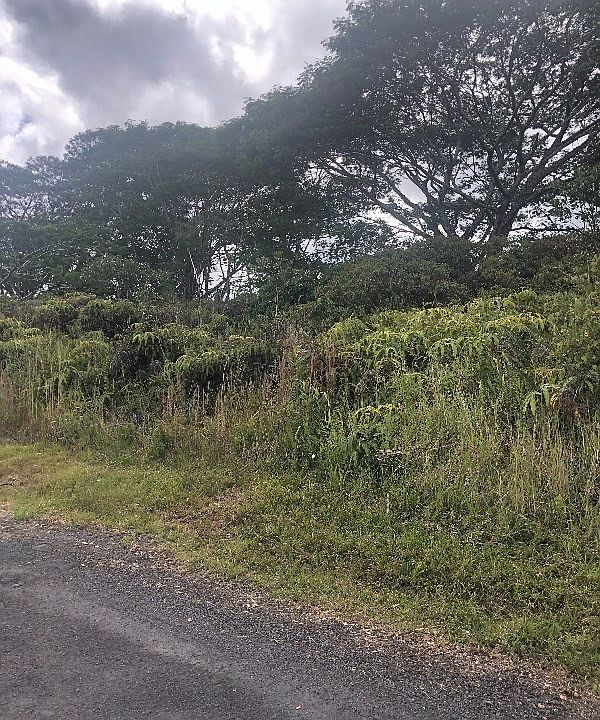 2nd image of Plumeria St Lot 6716