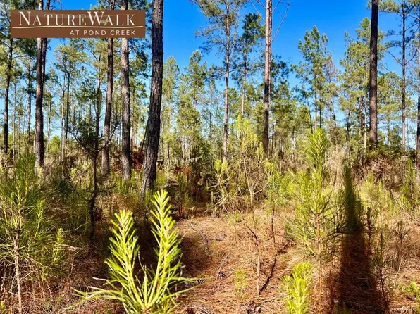 28 Ashbridge Ln, Milton, FL 32571