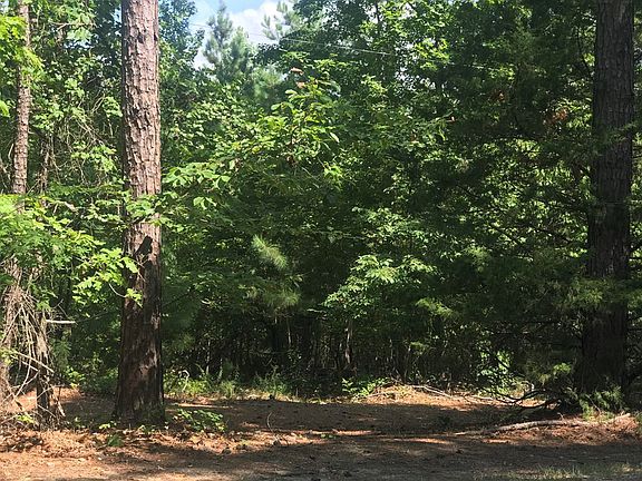 4th image of 00 Dogwood Drive