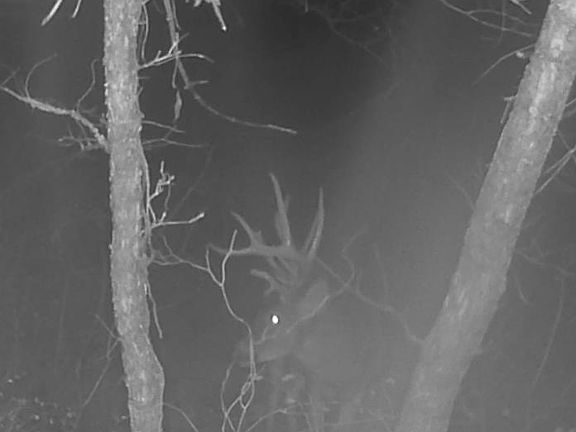 3rd image of McFarland Creek Rd