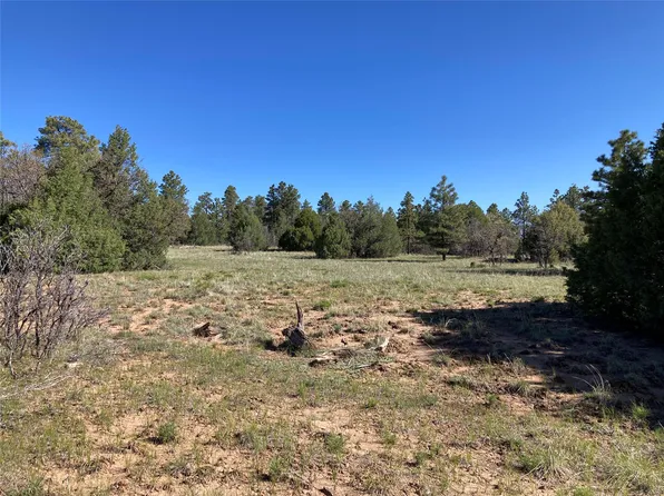 Rim Dr Lot 80, Los Ojos, NM 87551