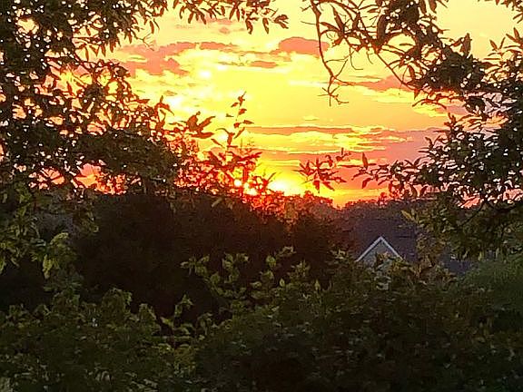 Summer Sunset view