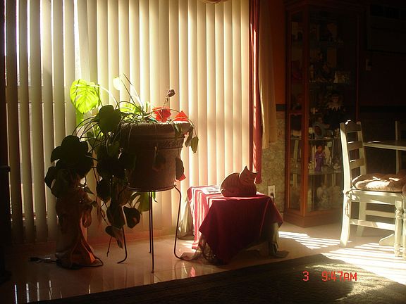 2nd image of 6050 Nevada Ave APT 1