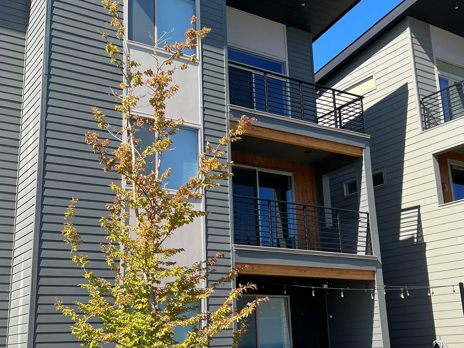 3 bed, 2.5 bath, 2000 sqft, $3,495 — Photo 2