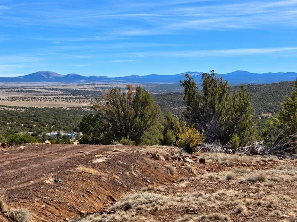 6 Co Rd, Vernon, AZ 85940