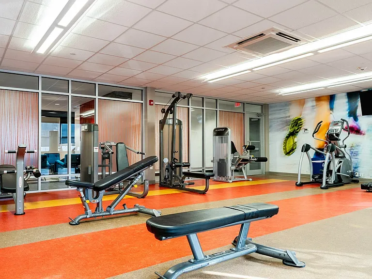 A calm, organized gym designed for all fitness levels.