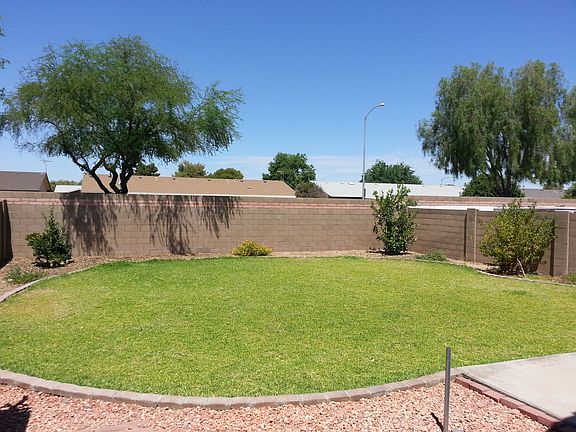 St. Augustine grass and fruit trees in backyard