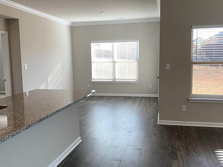 223 Ivyleaf Dr — Photo 7