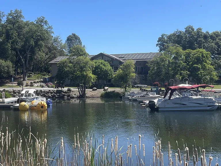 14382 Sun Forest Dr — Photo 14
