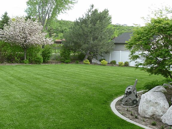 Back yard