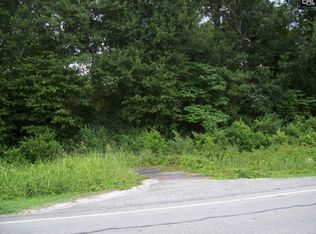 125 Whetstone Rd, Swansea, SC 29160