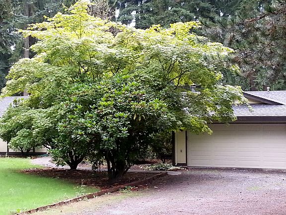 Estate Driveway