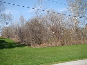 2nd image of 4020 163rd St