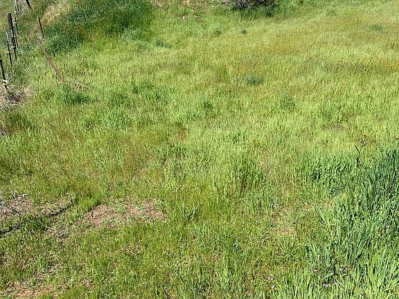 3rd image of 2927 Cascade Ln #0