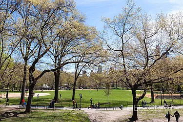 Rented by (Legacy) Elegran