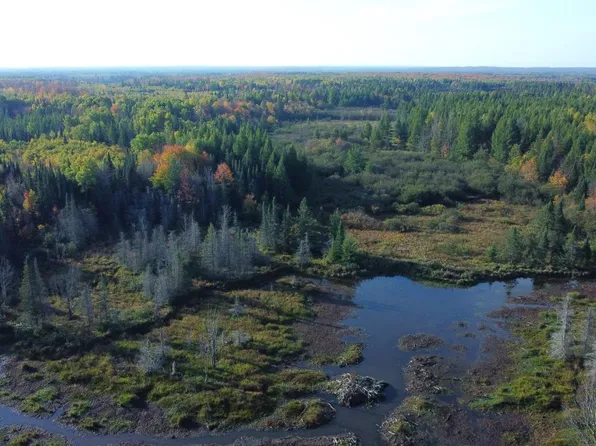 W2509 Trappers Rd, Phillips, WI 54555