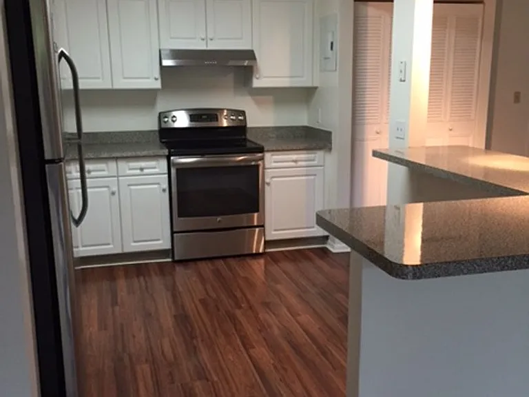 Chestnut Hill South — Photo 14