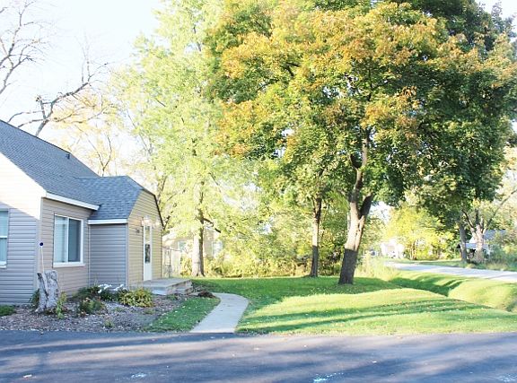huge front yard trees