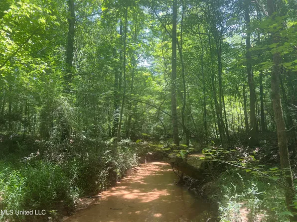 Springhill Church Rd, Waynesboro, MS 39367